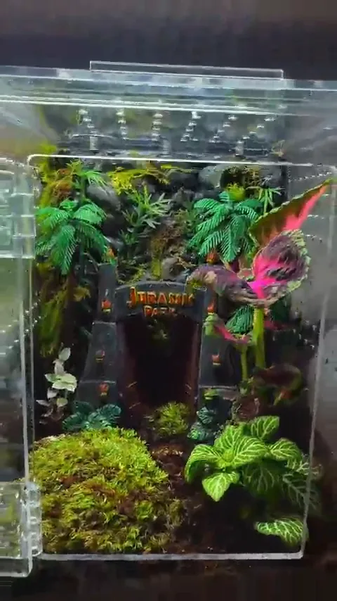 A jumping spider settled in a fully planted ArachNest acrylic enclosure with cork bark, moss and live plants.